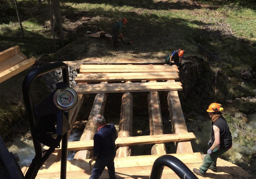 UNADJUSTEDNONRAW_thumb_1bda