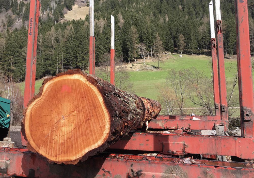 UNADJUSTEDNONRAW_thumb_aa2